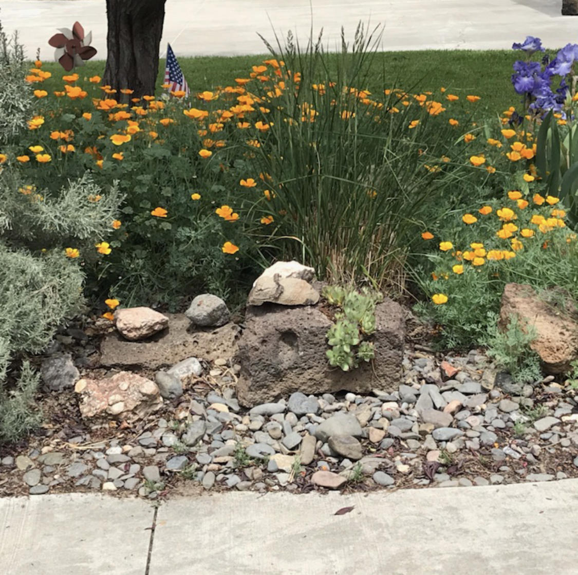 Canyon Point - Residential