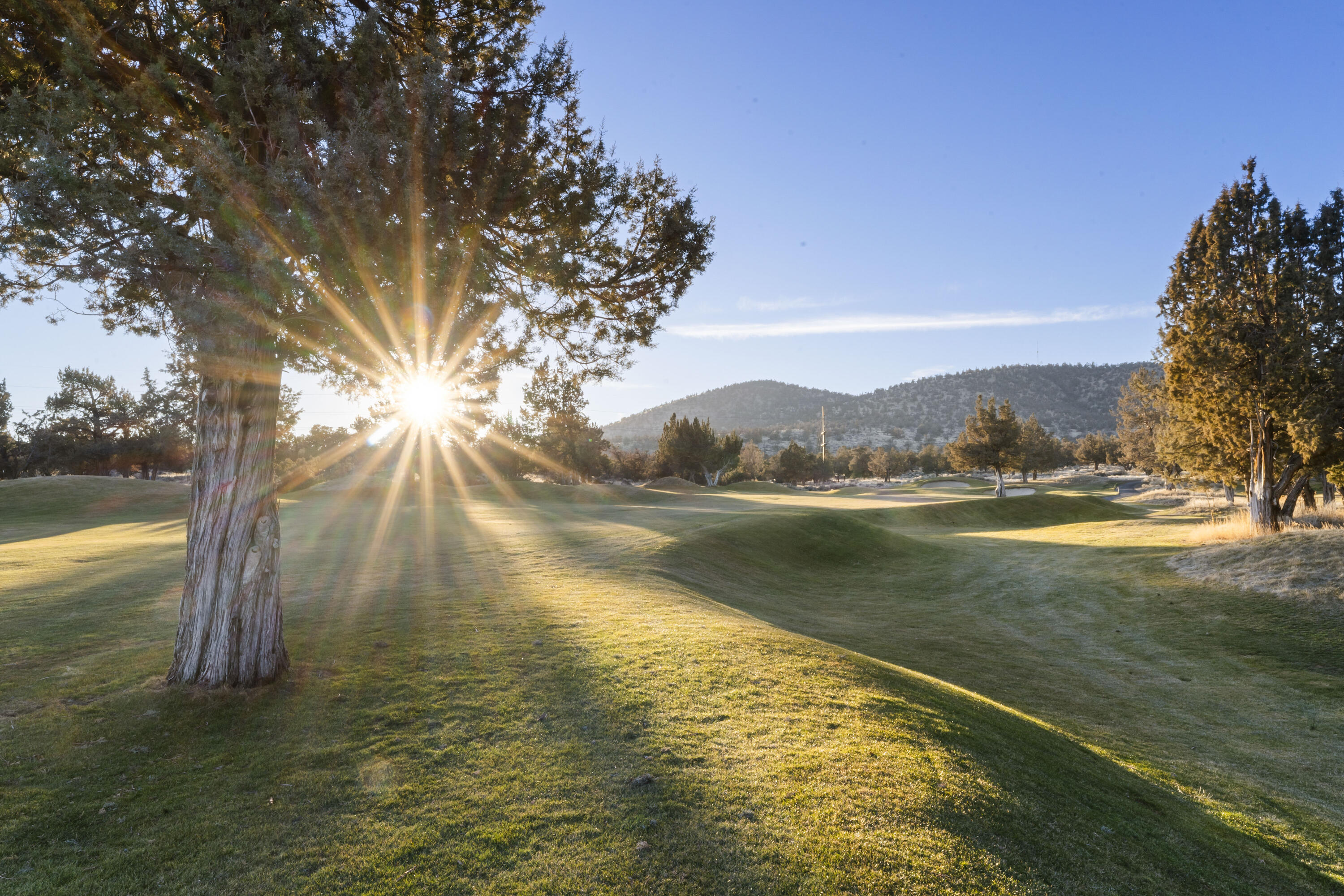 Ridge At Eagle Crest - Residential