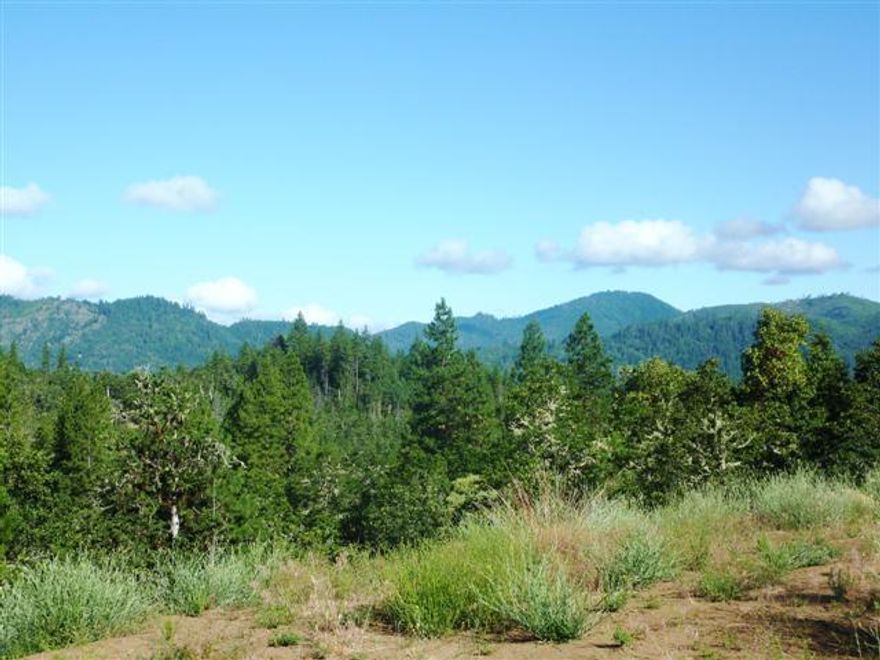 Ready for your dream home! The home pad is cut, the 4-bedroom sand filter septic is installed, the well is in & produces approximately 8 GPM, there is power to the pad & a paved driveway that leads to this fabulous approved homesite with awesome mountain & valley views! Beautifully treed, this private rural setting backs up to BLM & is ready for your custom home. The Seller is a licensed contractor with many custom plans from which to choose or bring your own builder. Per county, a new home can be built as a replacement dwelling. Excellent value! Potential for 2-family set-up, please call for details!