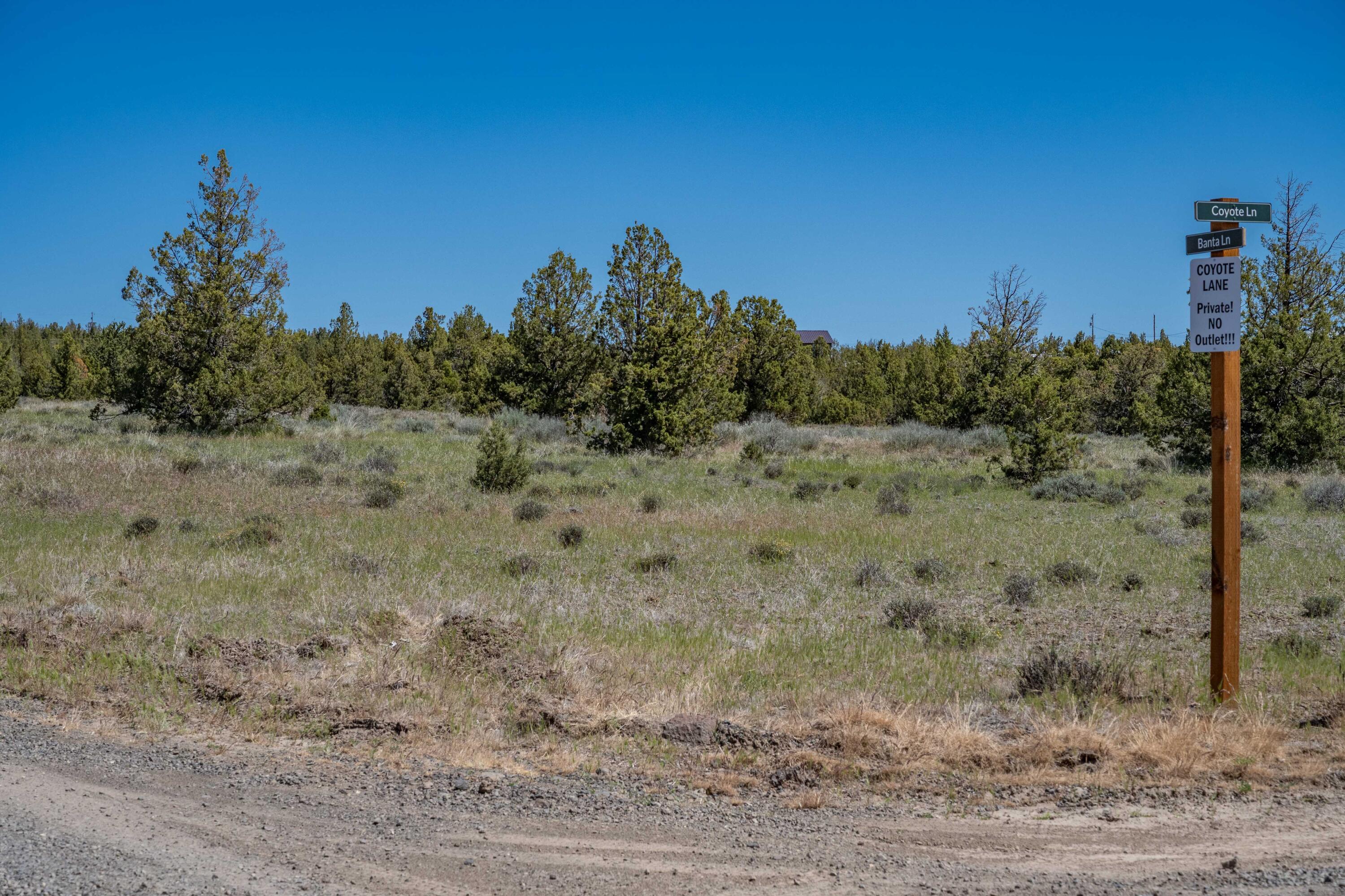 Ochoco Land + Livest - Land