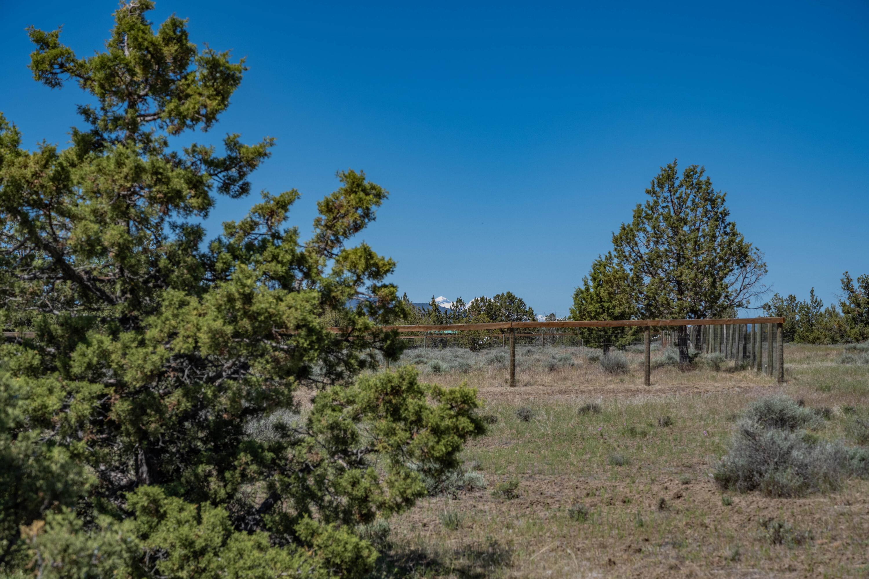 Ochoco Land + Livest - Land