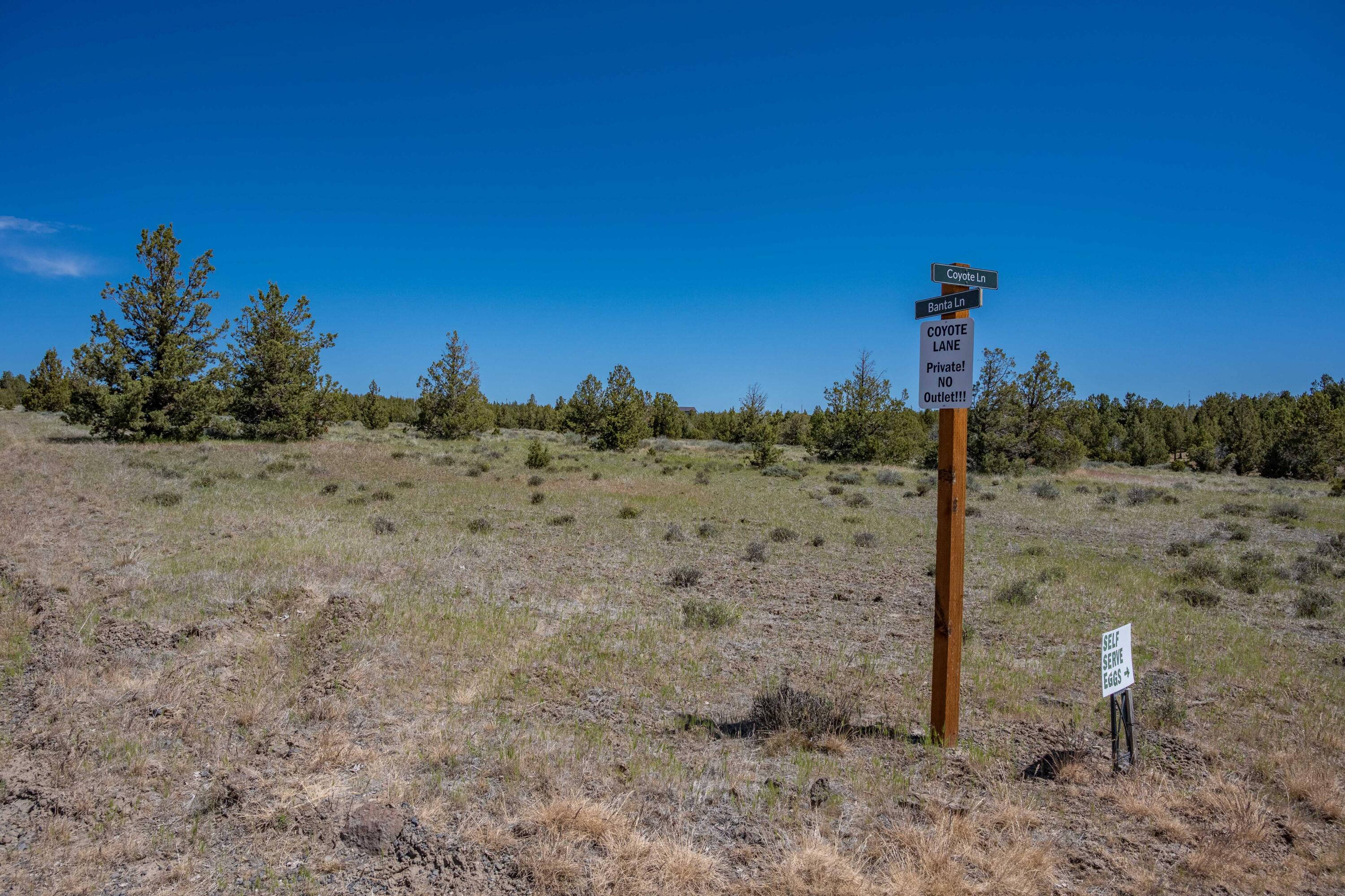 Ochoco Land + Livest - Land