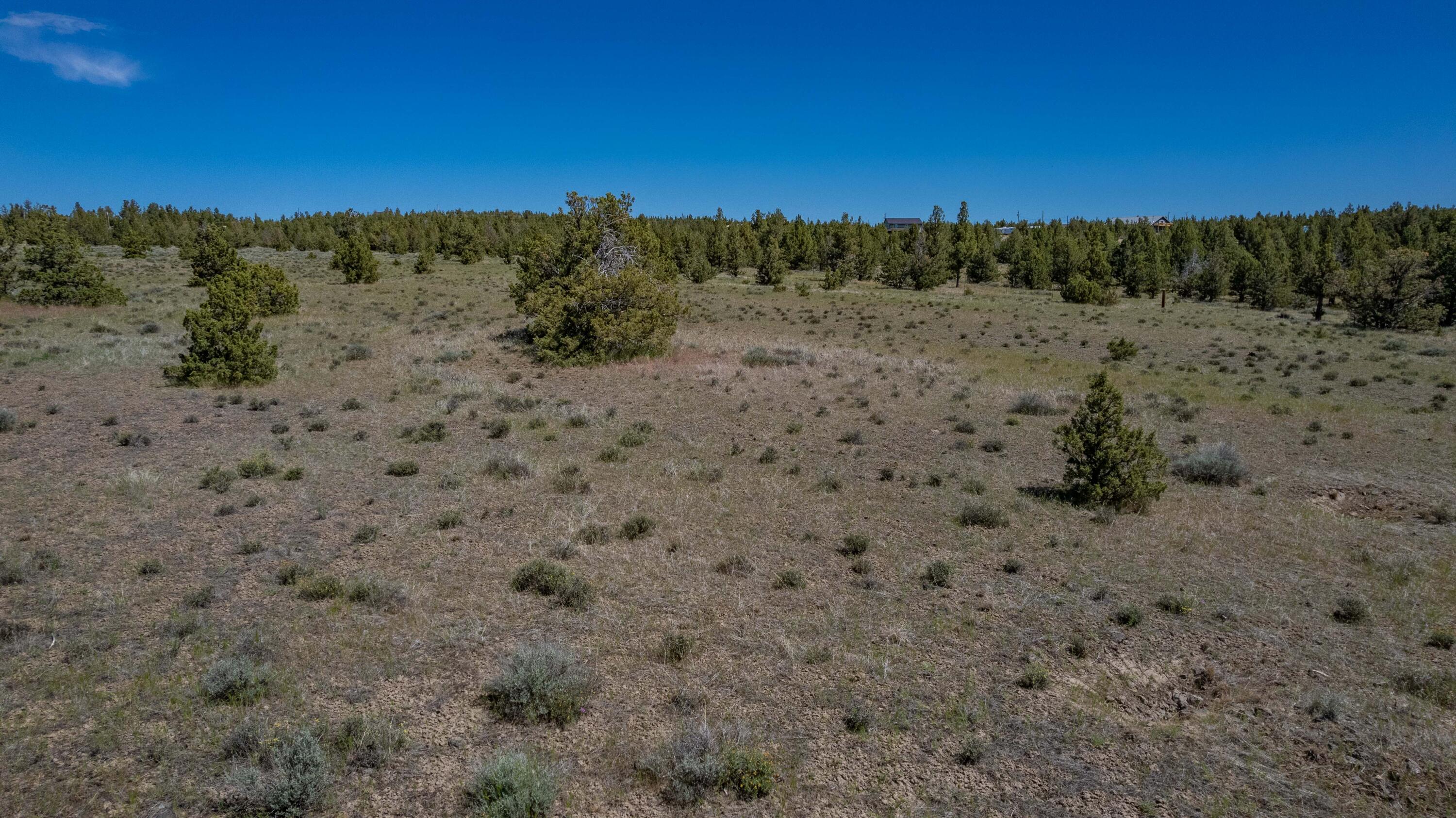 Ochoco Land + Livest - Land