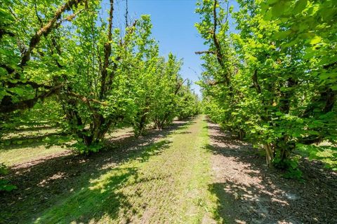 Tiny photo for 0 55th Avenue NW, Salem, OR 97304 (MLS # 220221748)