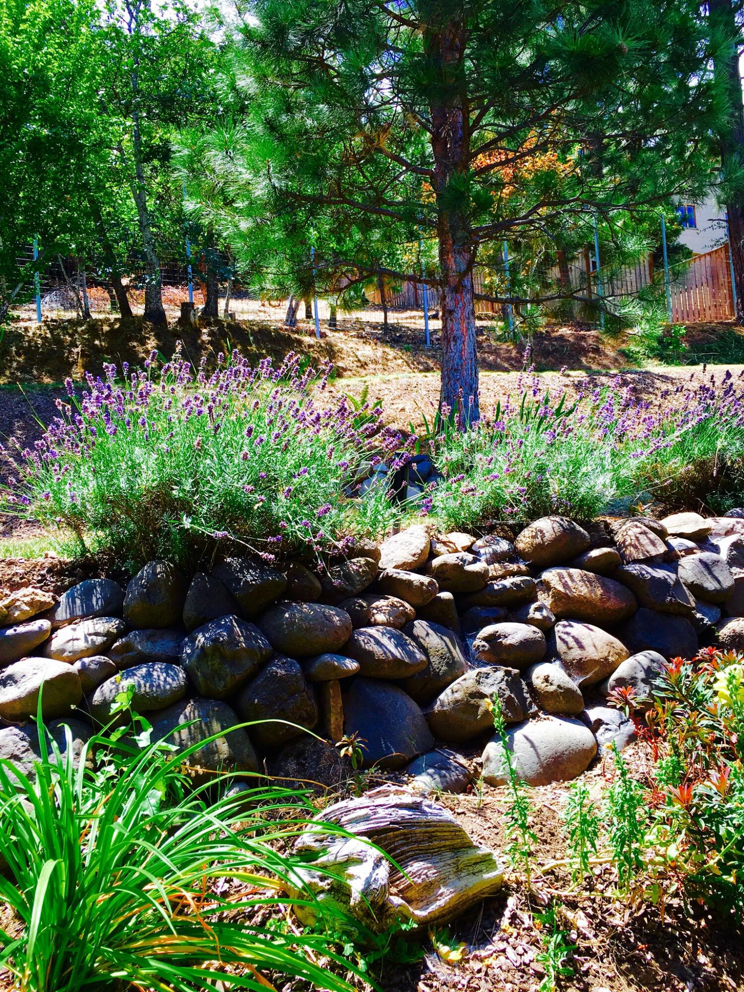 Bieber Subdivision - Residential