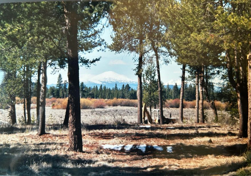 LOOK !!!!
RARE  17 ACRES CLOSE TO TOWN
 WITH  BEAUTIFUL MOUNT BACHELR VIEW. CITY WATER AND SEWER ARE AVAILBLE ACROSS STREET. WITH THAT PROPERTY COULD BE SUBDIVIDED, GREAT INVESTMENT!!!!
2007 TRIPLE WIDE 4 BEDROOMS 2 BATHS
40 X 50 DETACHED SHOP/ BARN  W TRIPLE DOORS,
SELLERS ARE SELLING PROPERTY ' AS IS '
SEWER AND CITY WATER IS AVAILBLE TO BRING ON PROPERTY,AND MORE DELVELOPMENT IS A GREAT POSSIBILITY.
THIS PROPERTY IS A MILE FROM TOWN MEDICAL SERVICES YET SO VERY PRIVATE.