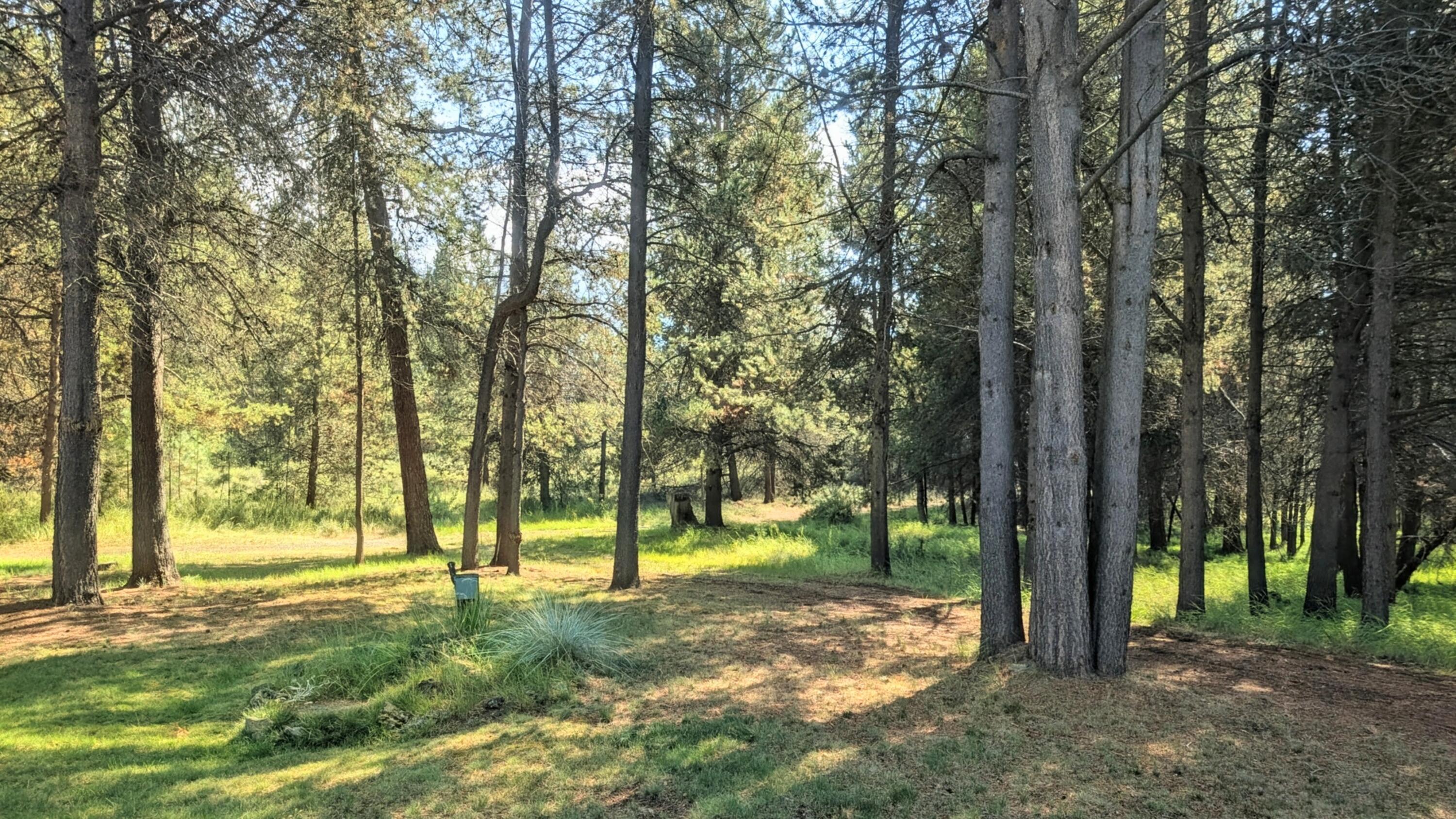 Lazy River - Residential