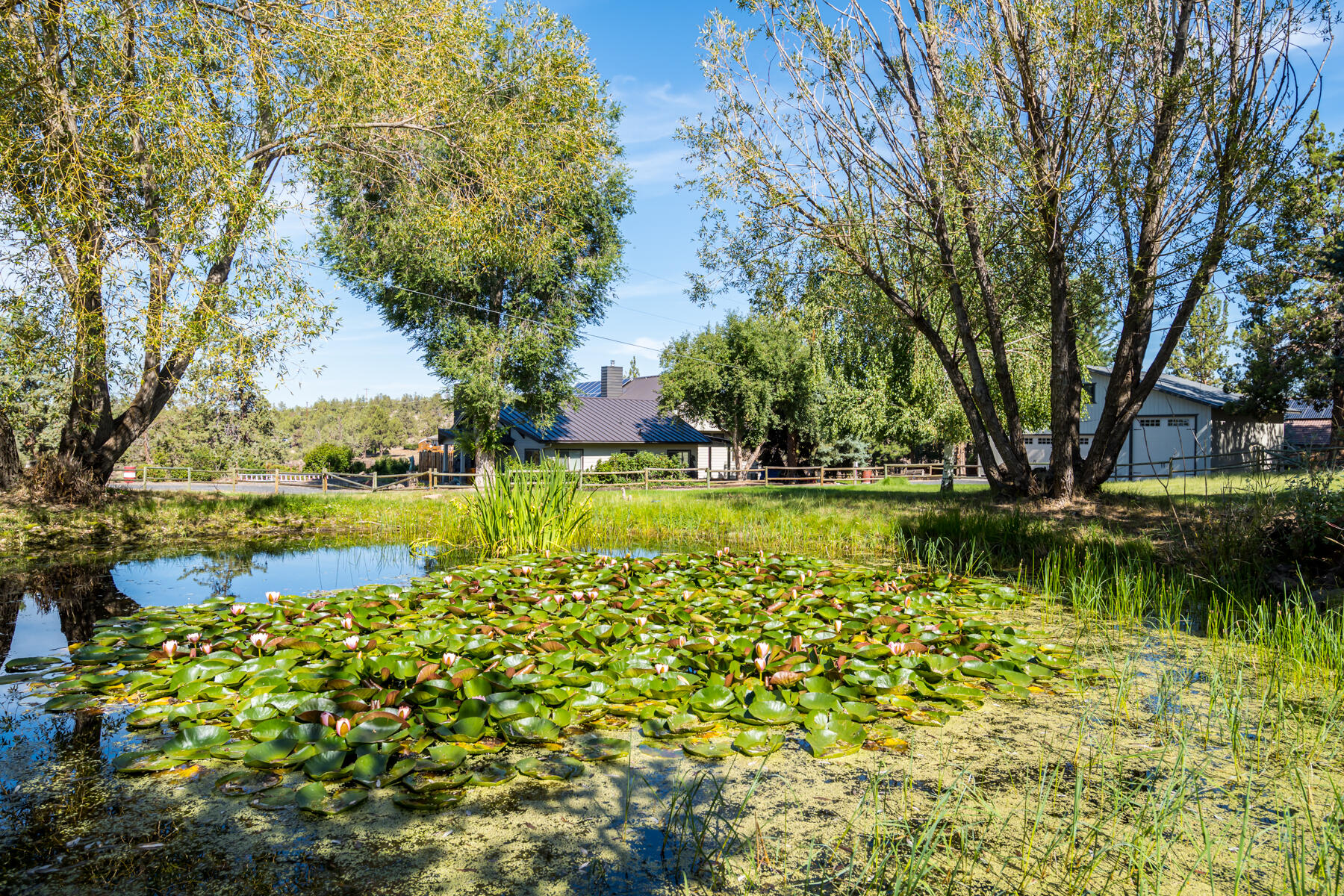 Rockwood - Residential