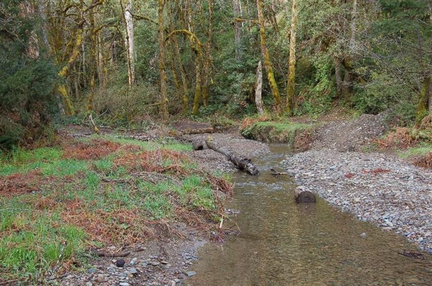 Over 350 acres of remote timber land. This property borders BLM ground and other large private holdings. This property would make a solid investment in maturing timber, your own recreational paradise or possibly a remote home site. Fish bearing, year round stream runs approximately 2000 feet through the property. Buyer to perform their own due diligence regarding all aspects of the property. Very remote, do not try to view this property on your own. Contact your Realtor today for a viewing- Cheney Creek 316.