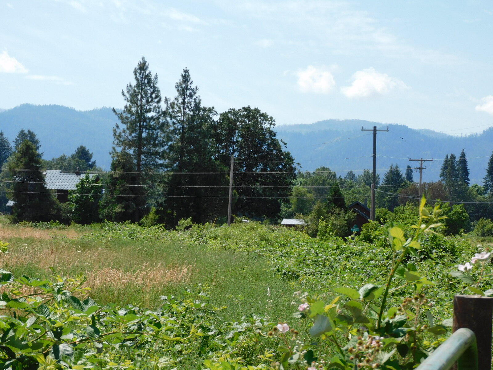 Takilma Townsite - Farm
