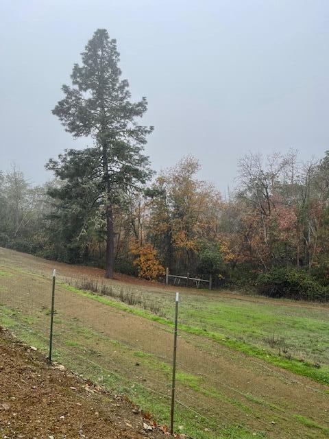 Riddle M&b - Residential