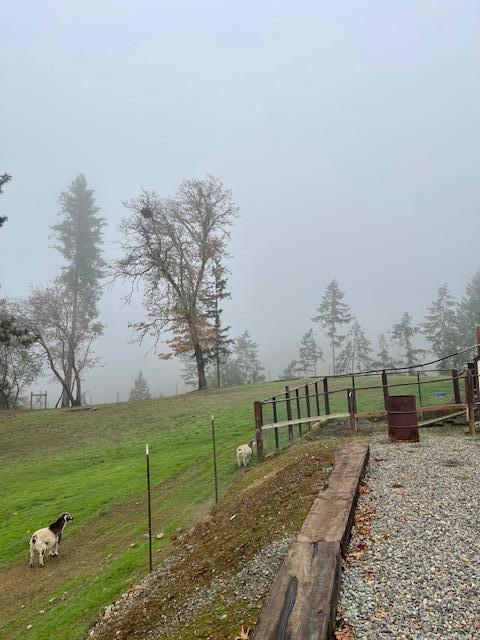 Riddle M&b - Residential