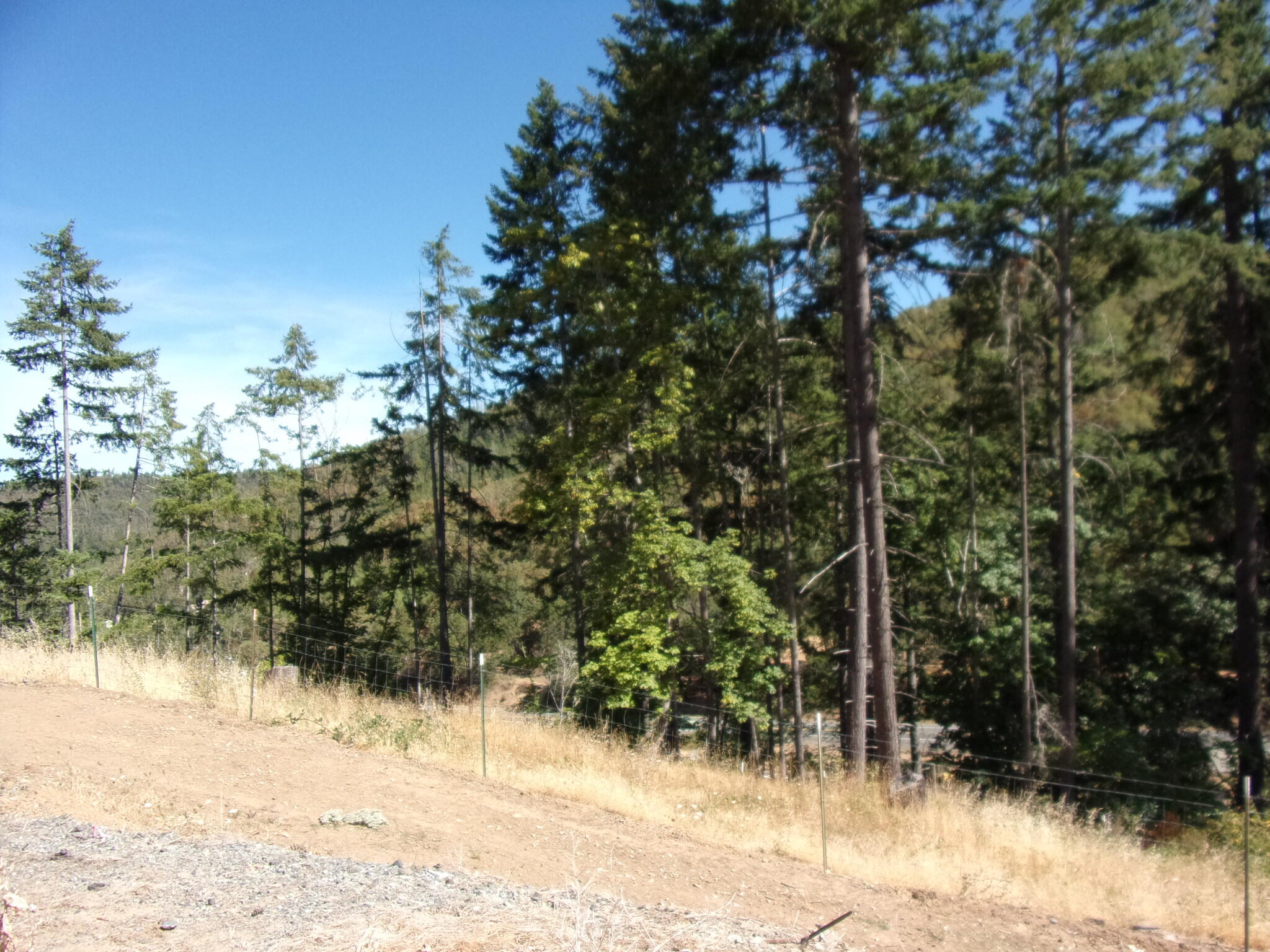 Riddle M&b - Residential