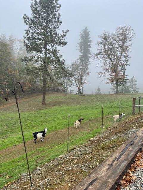 Riddle M&b - Residential