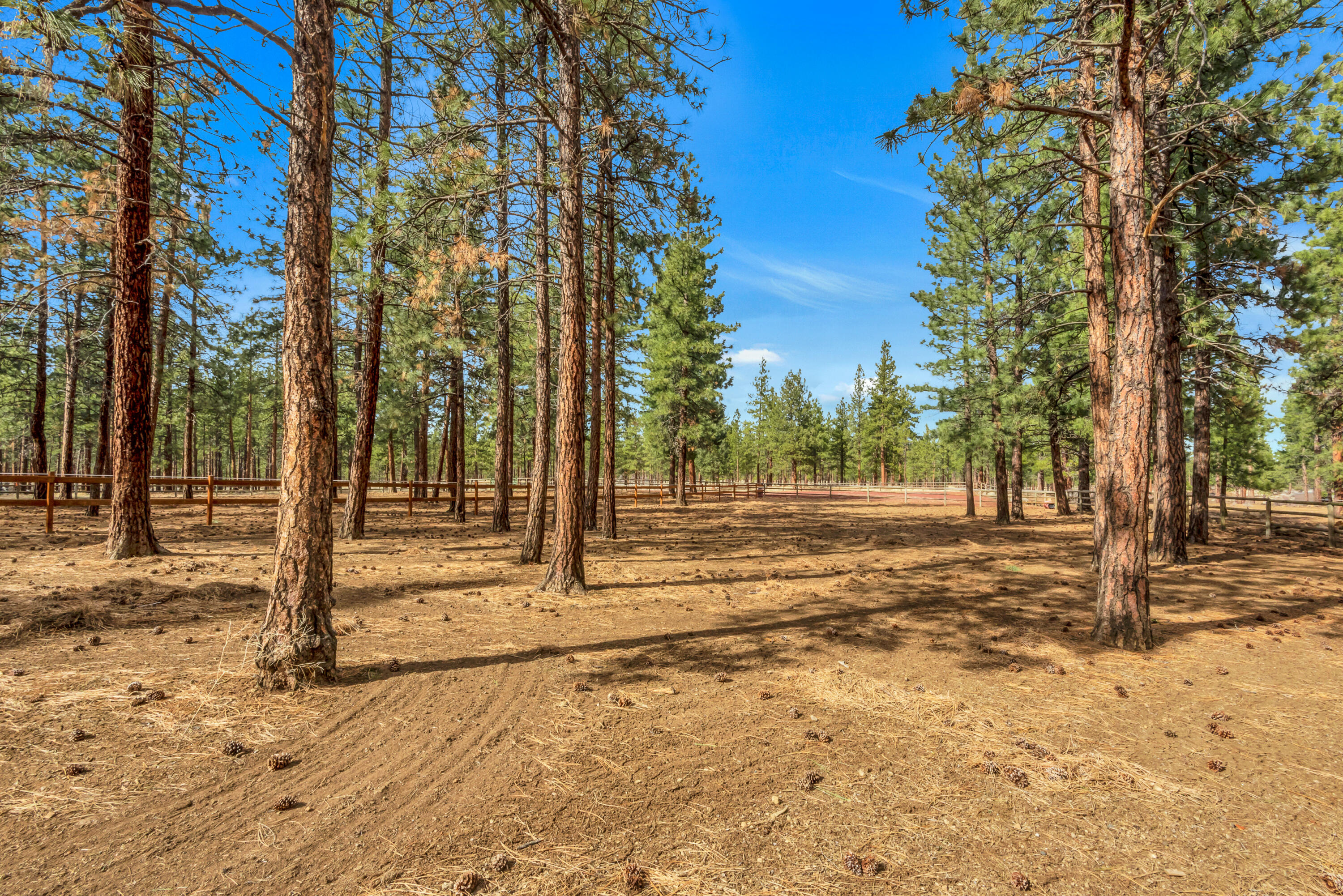 Lynwood Acres - Residential