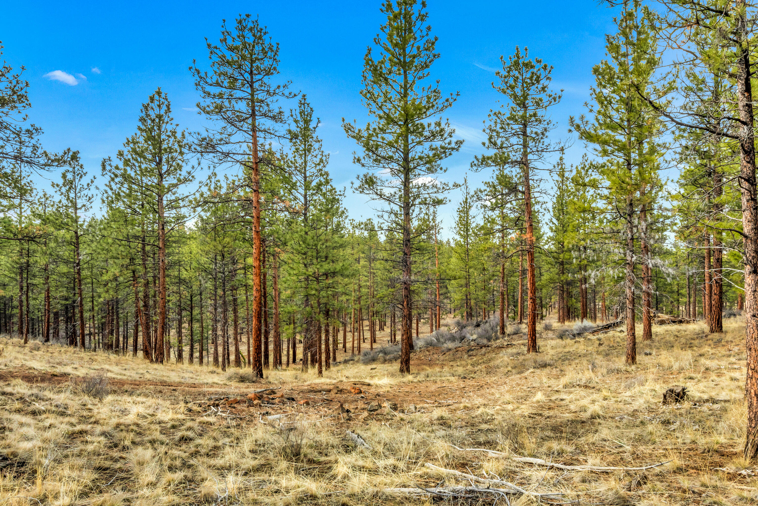 Lynwood Acres - Residential