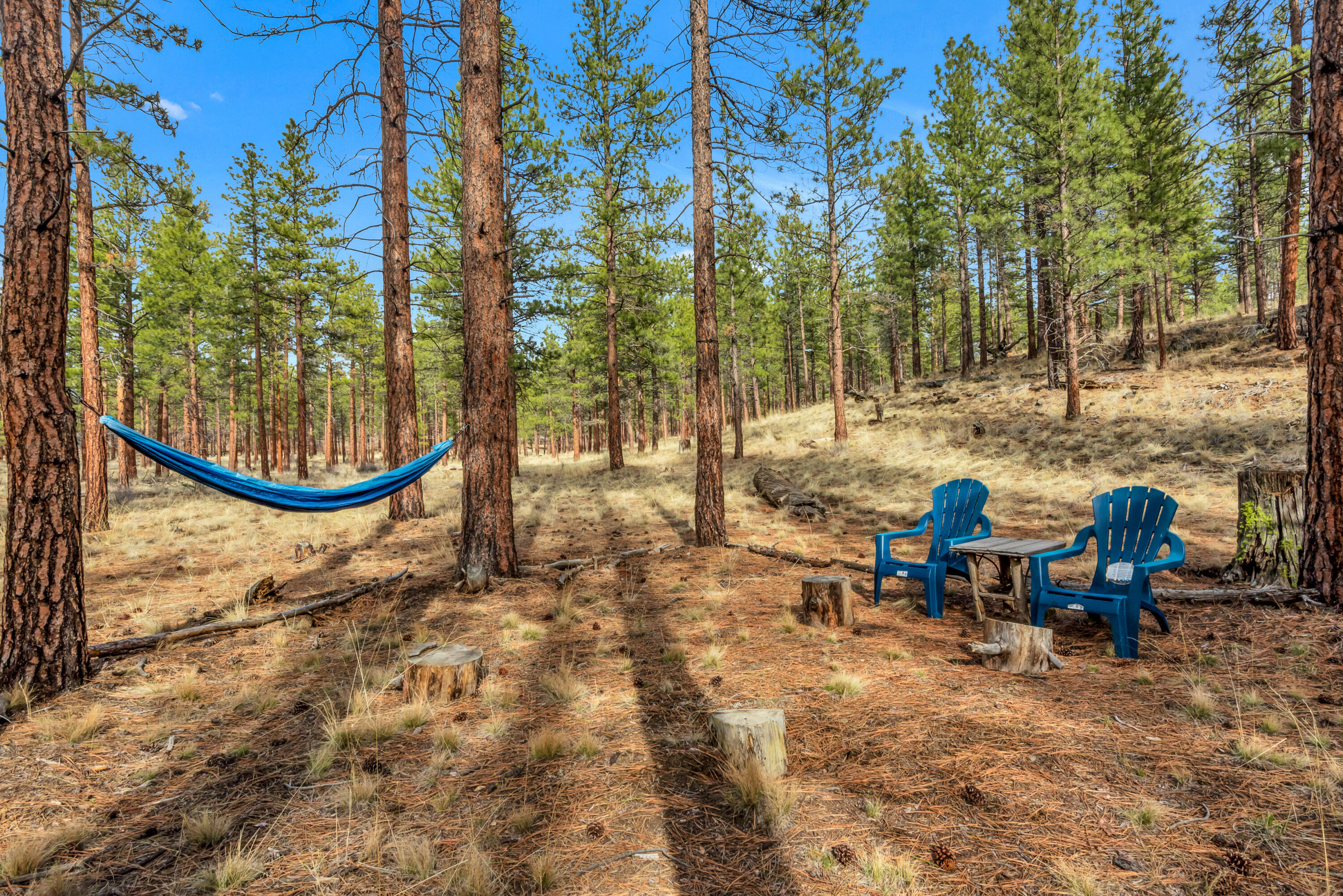 Lynwood Acres - Residential