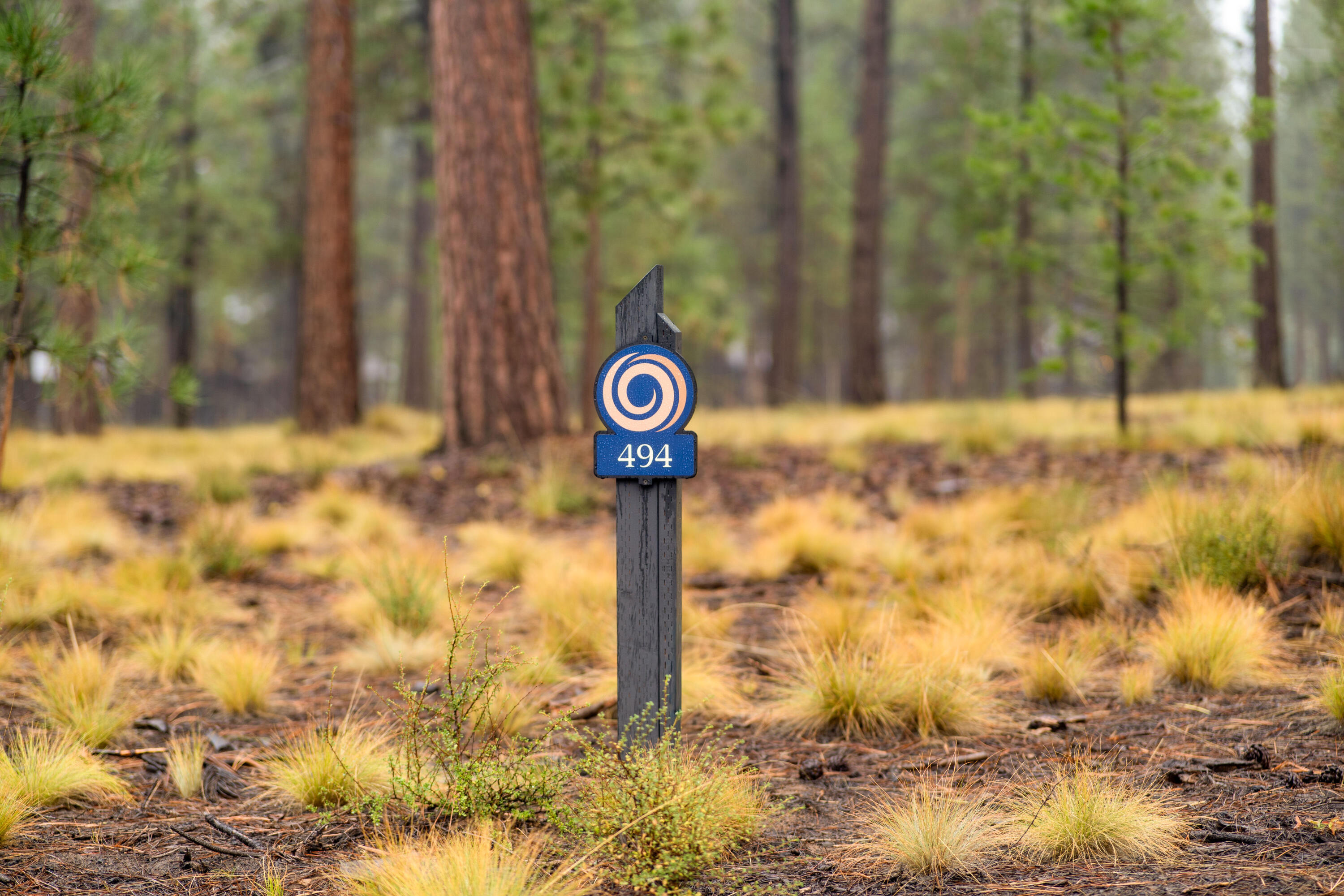 Caldera Springs - Land