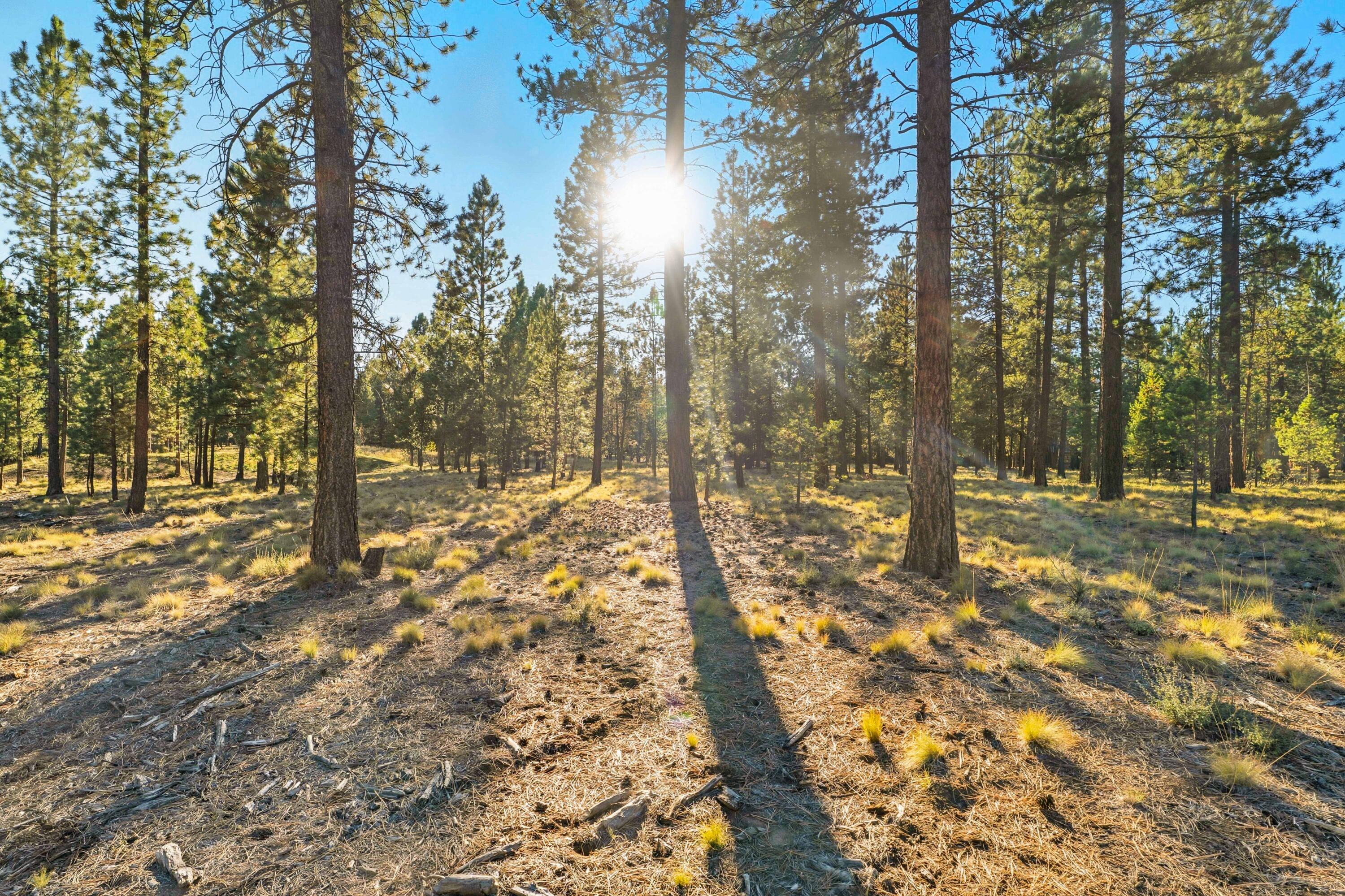 56468 Elk Run Drive 494