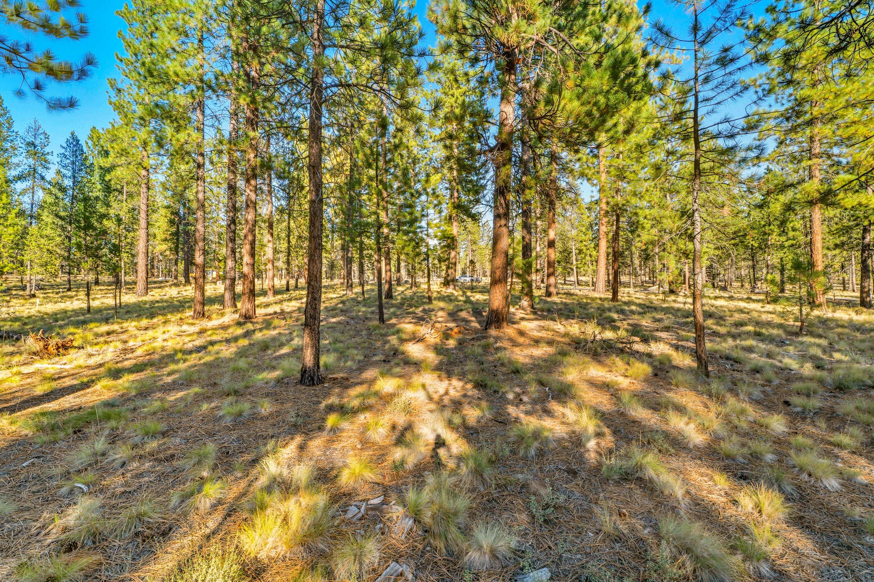 56468 Elk Run Drive 494