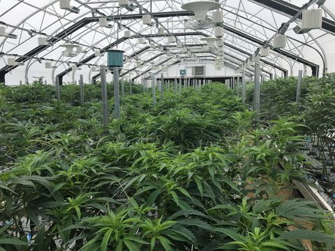 Tiny photo for 320 Caves Camp Road, Williams, OR 97544 (MLS # 220214897)