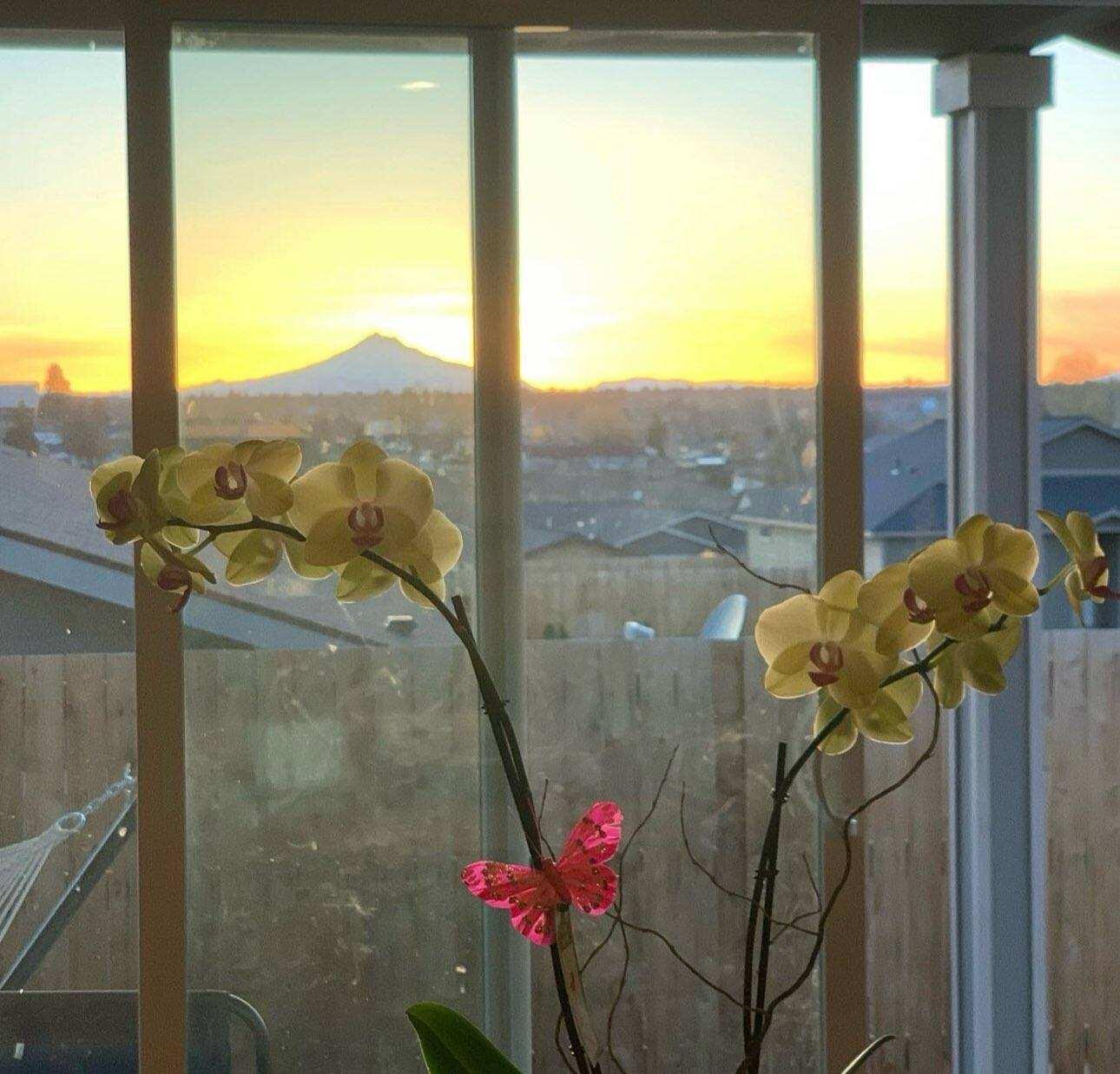 Treasure Hills - Residential