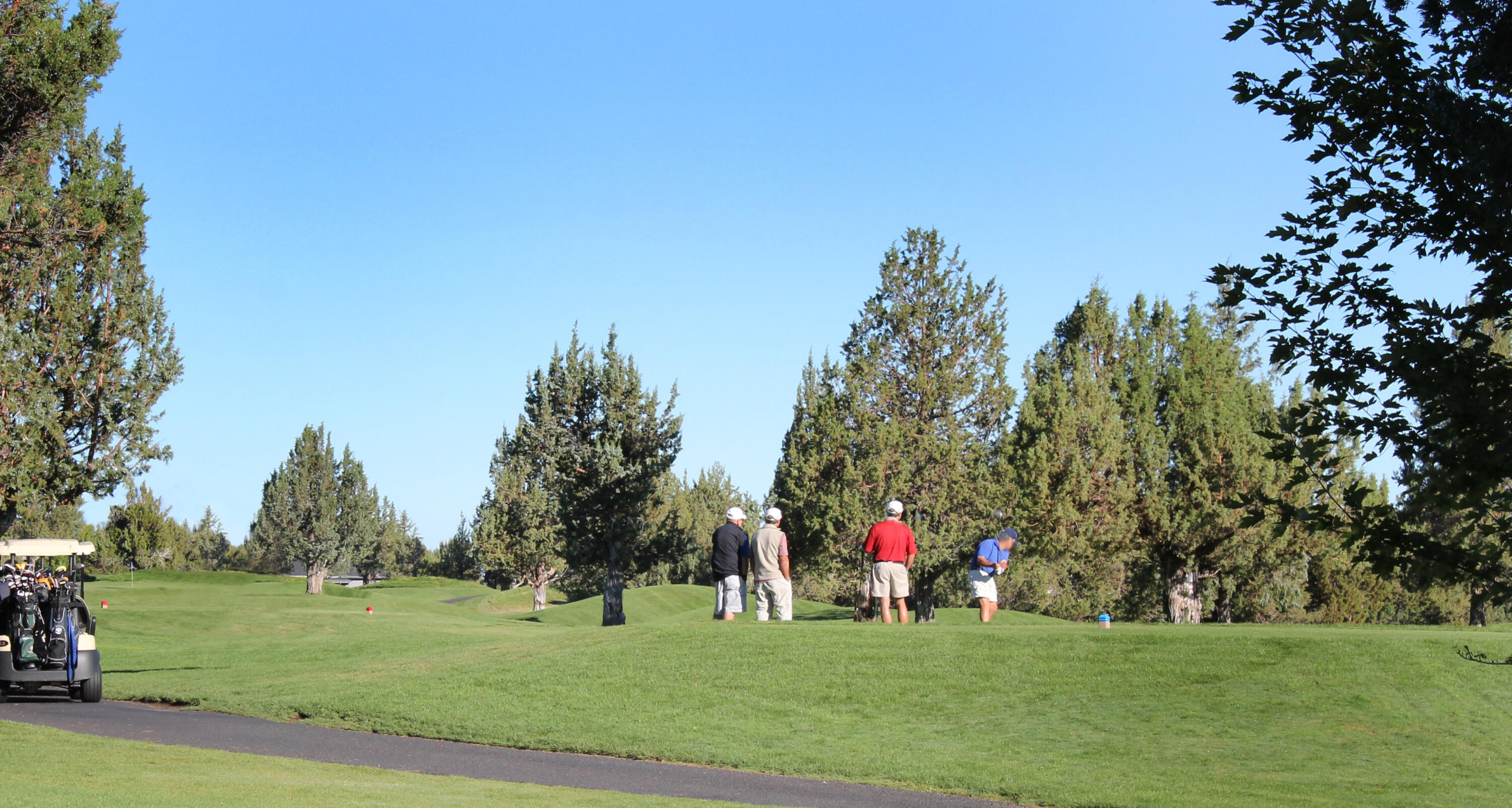 Ridge At Eagle Crest - Residential