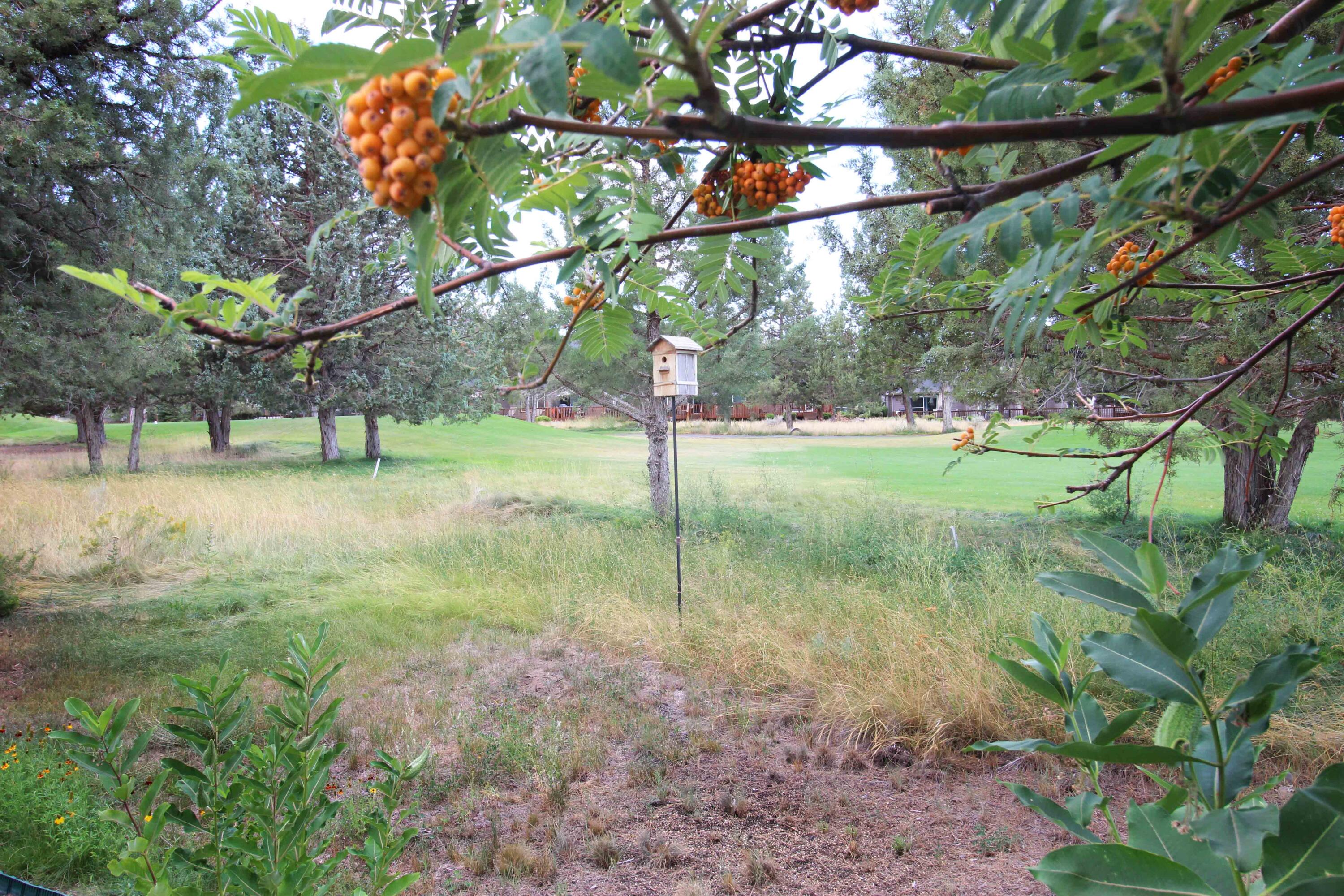 Ridge At Eagle Crest - Residential