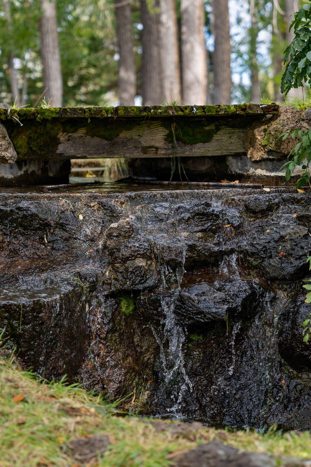 Somerset - Residential