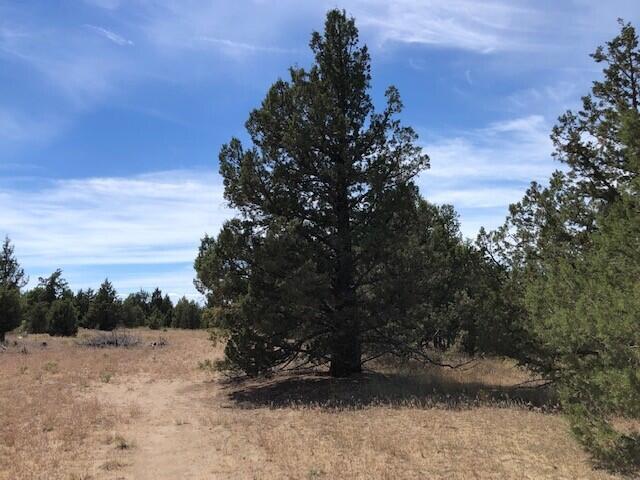 Prineville Lake Acres 2 - Land