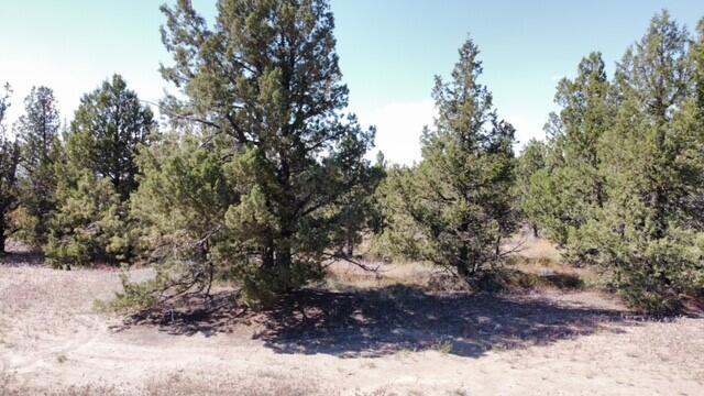 Prineville Lake Acres 2 - Land