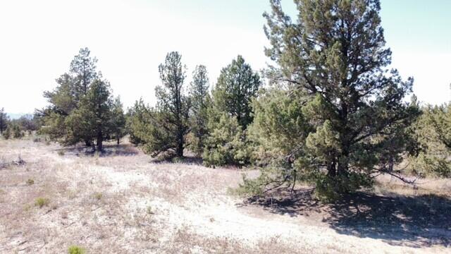 Prineville Lake Acres 2 - Land