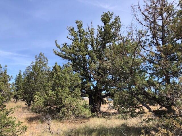 Prineville Lake Acres 2 - Land