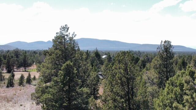Prineville Lake Acres 2 - Land