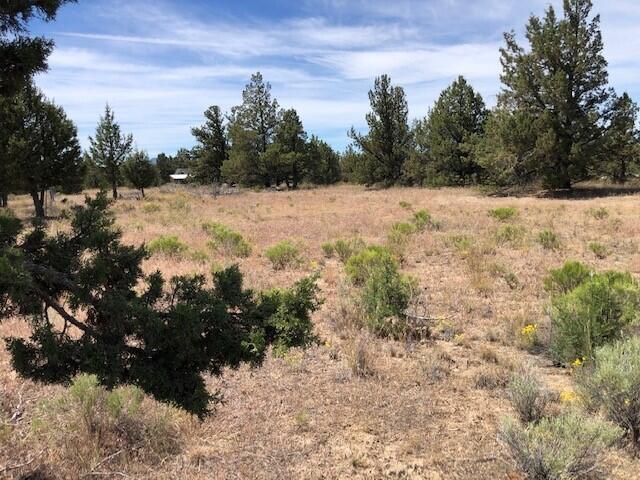 Prineville Lake Acres 2 - Land