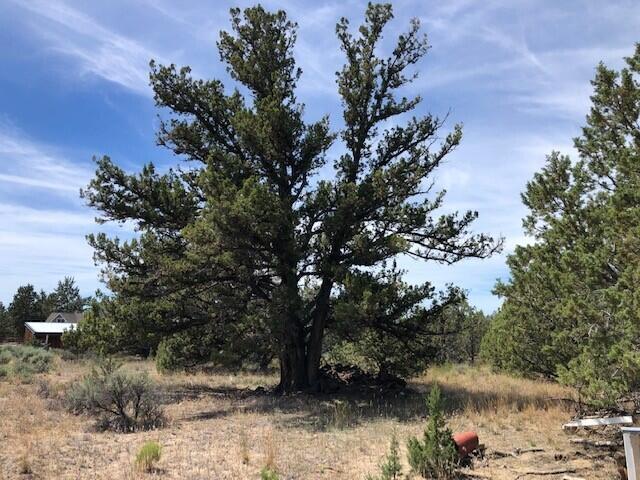 Prineville Lake Acres 2 - Land