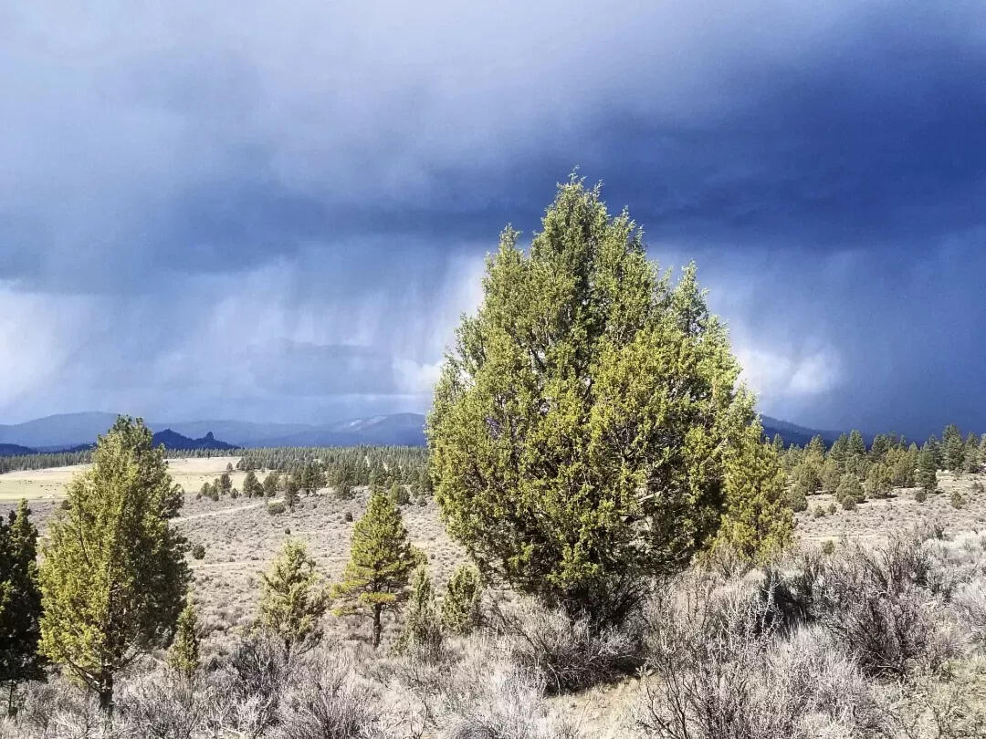 Sprague River Valley Acres - Land