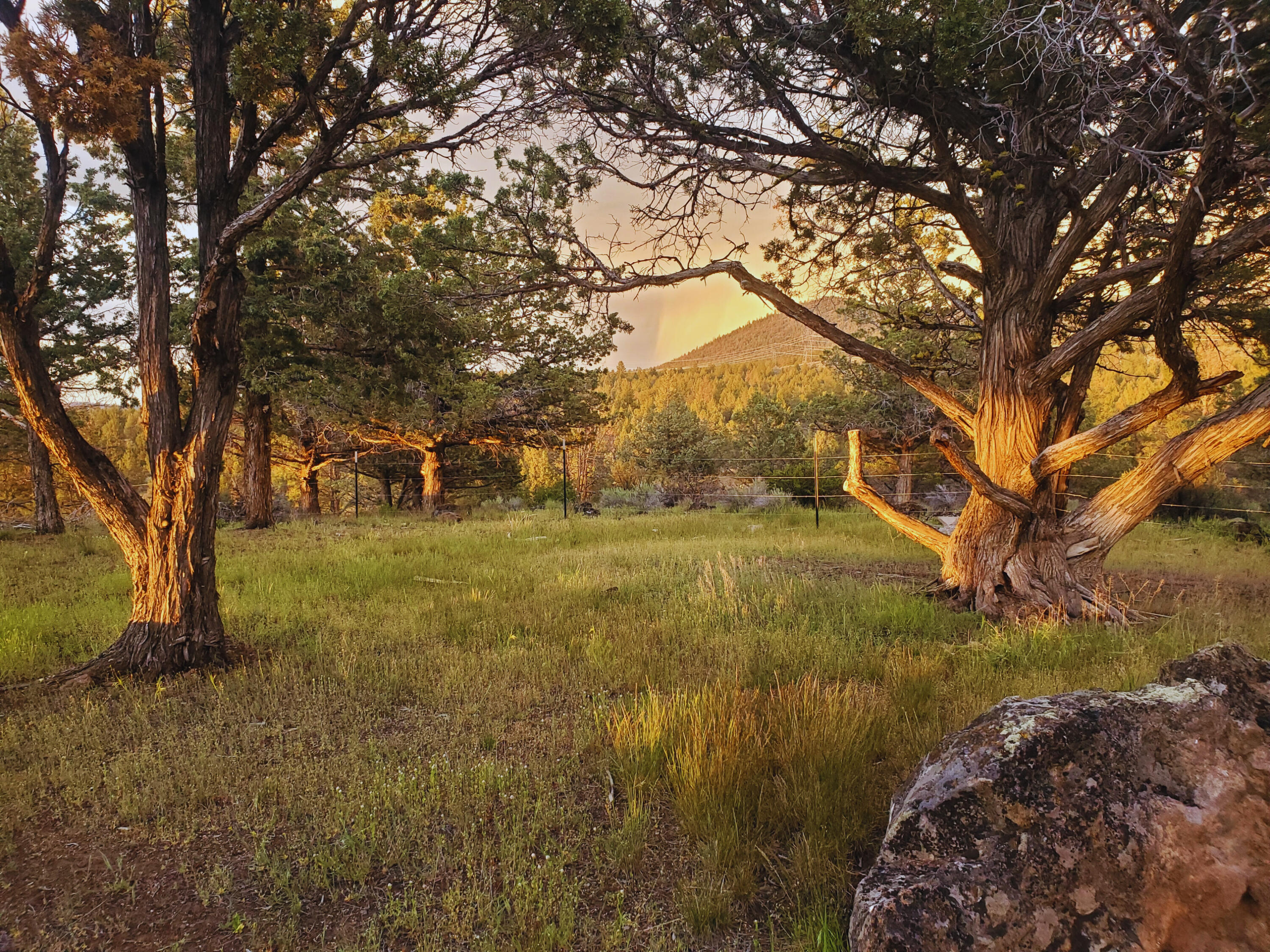 Sprague River Valley Acres - Land