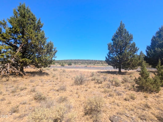 3152 SE PILOT DR, PRINEVILLE, OR 97754 - Image 4bb2c9b7eceeb13d8cdac384c8a48fa6/89137194