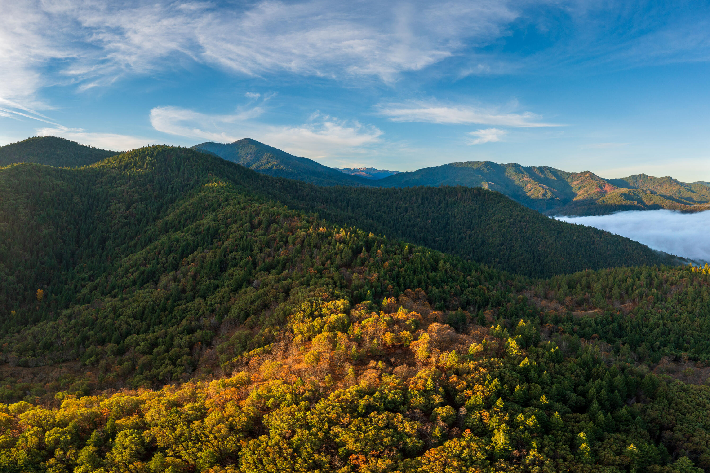 2155 Ashland Mine Road