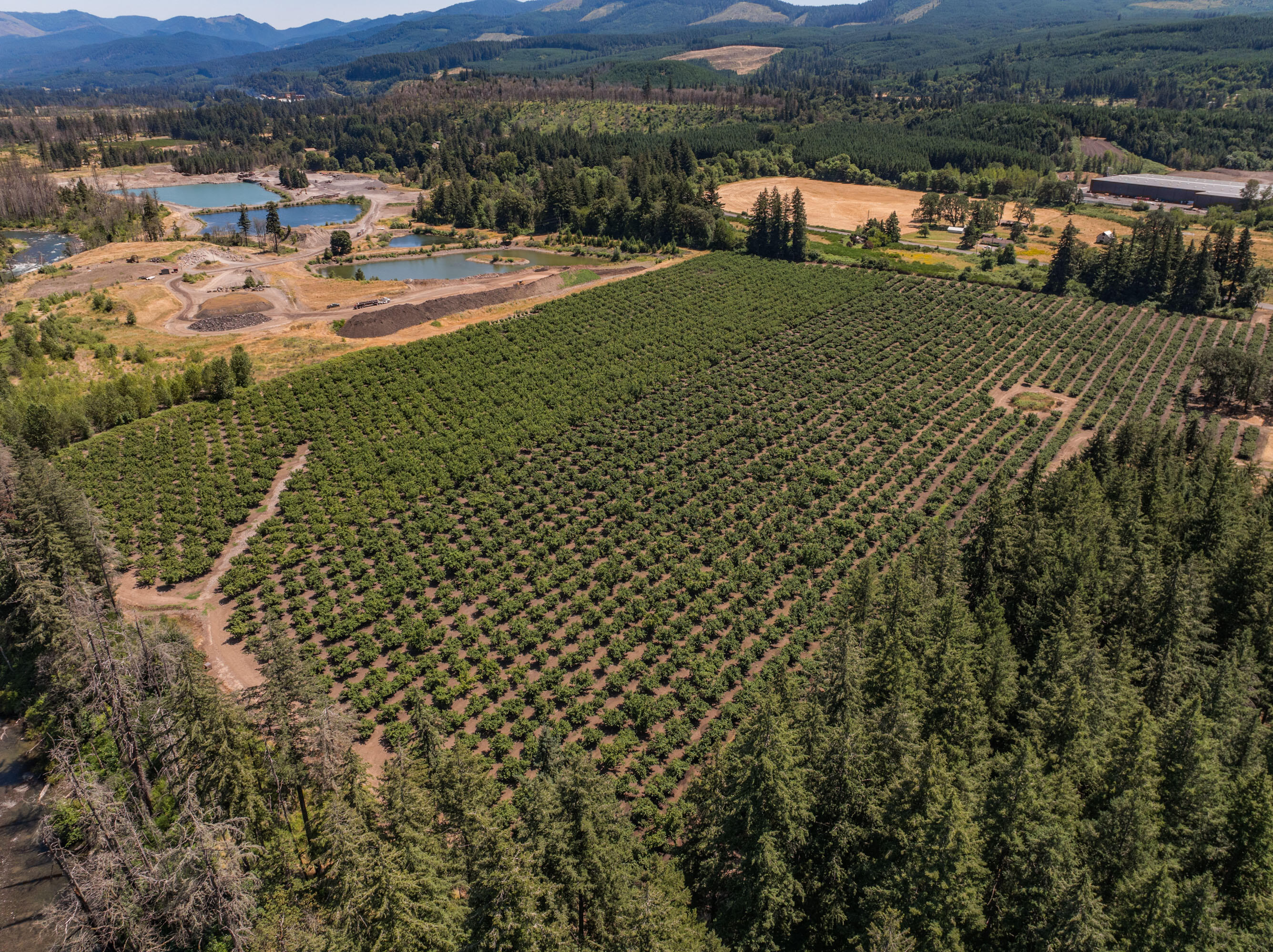 Lyons, Map Of - Land