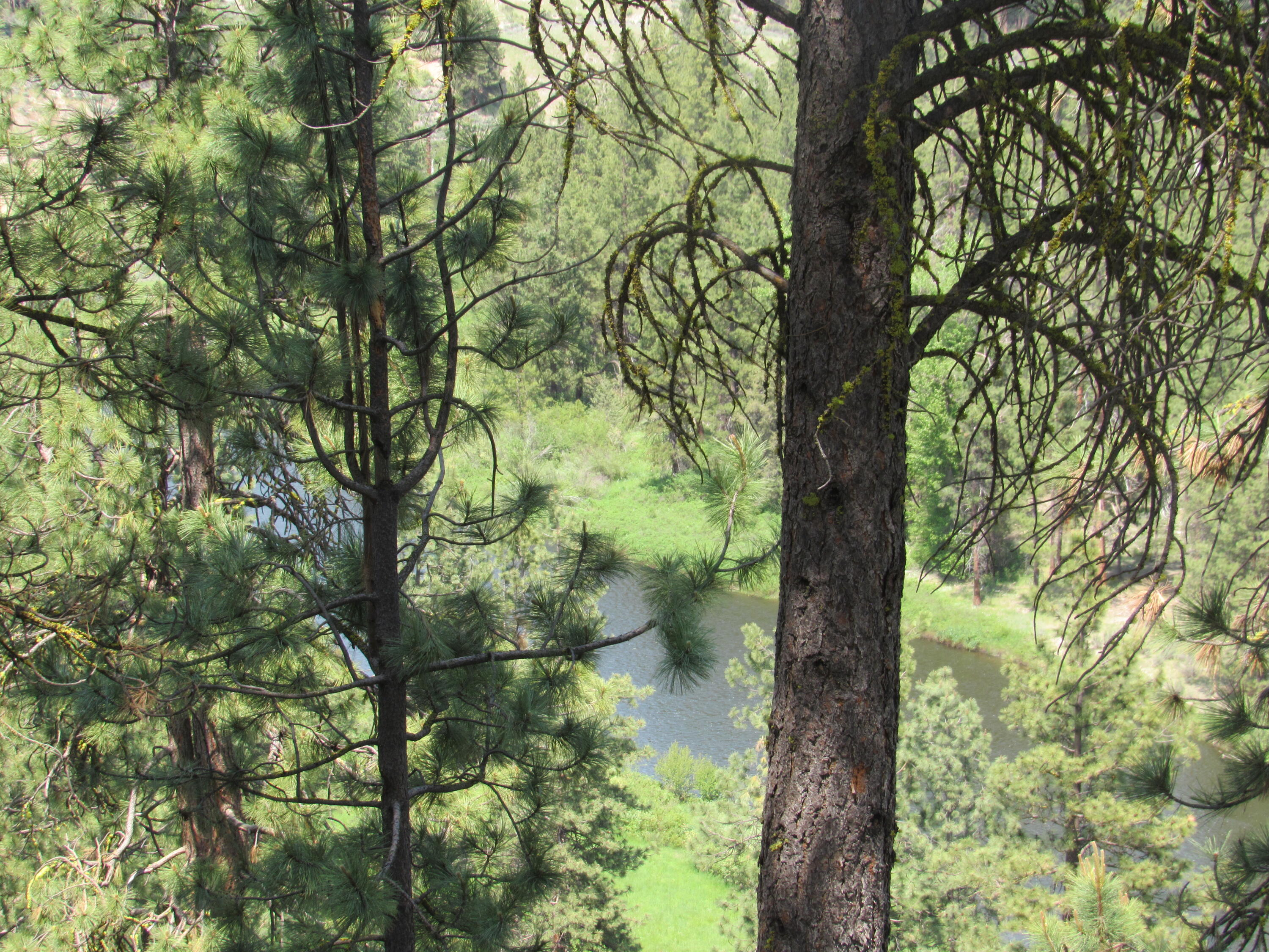 Twin River View - Residential