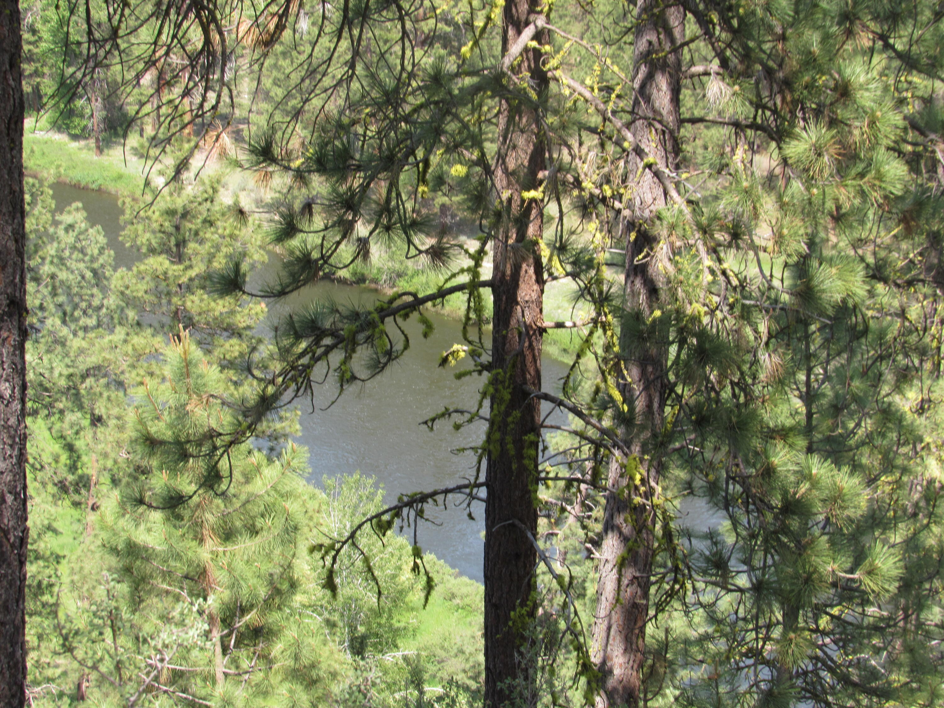 Twin River View - Residential