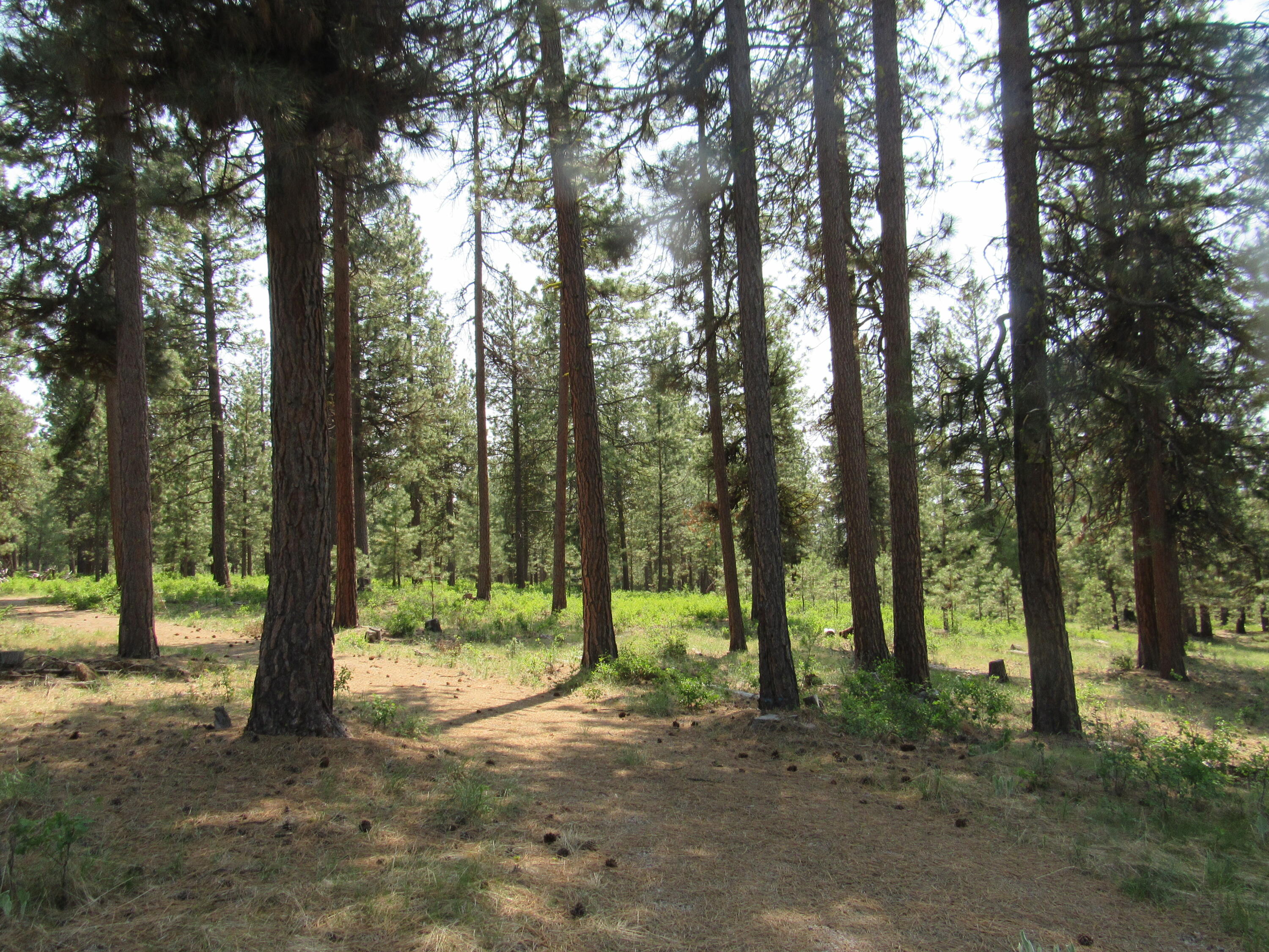 Twin River View - Residential