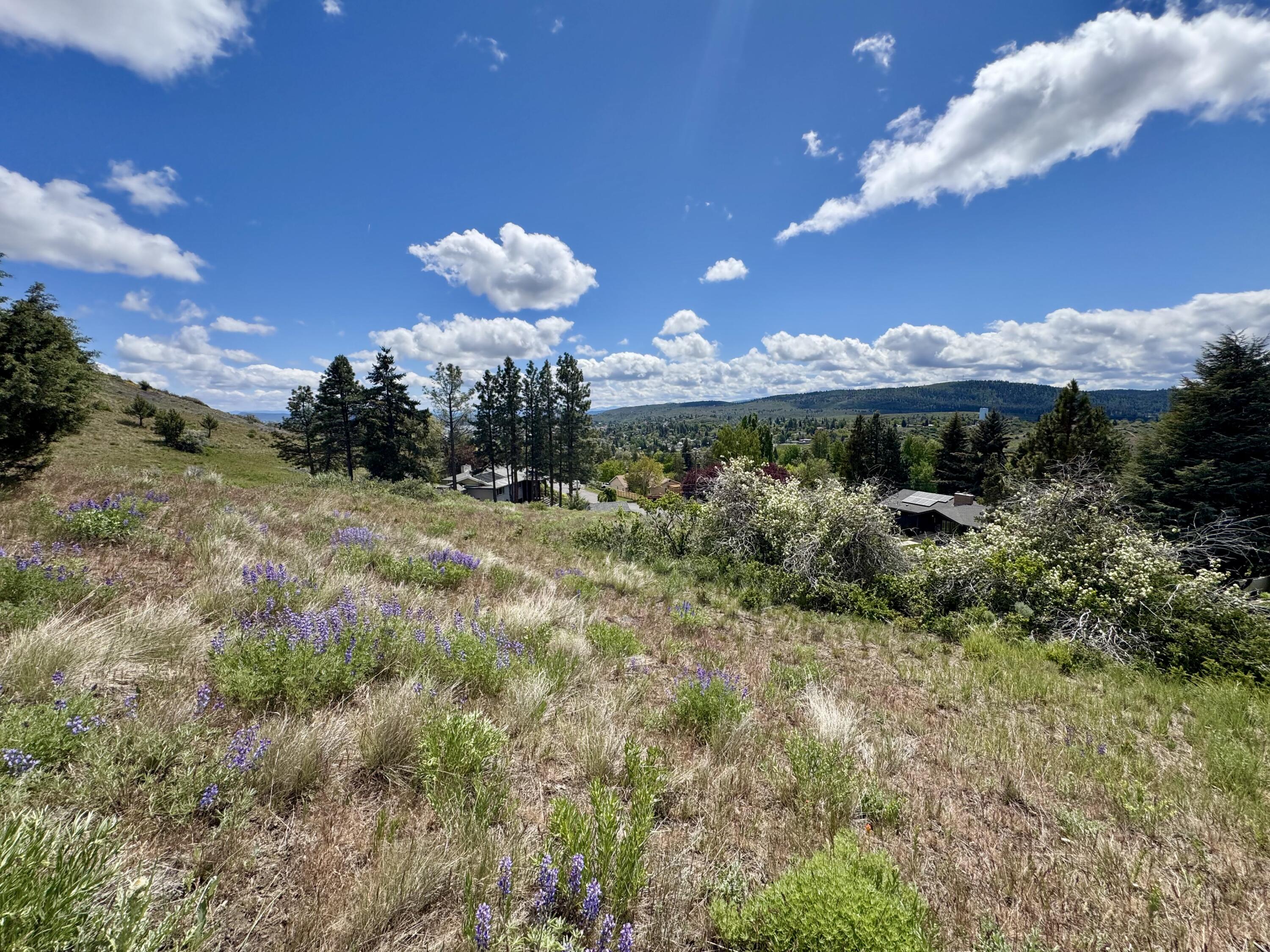 Klamath Falls -Mountain View Addition - Land