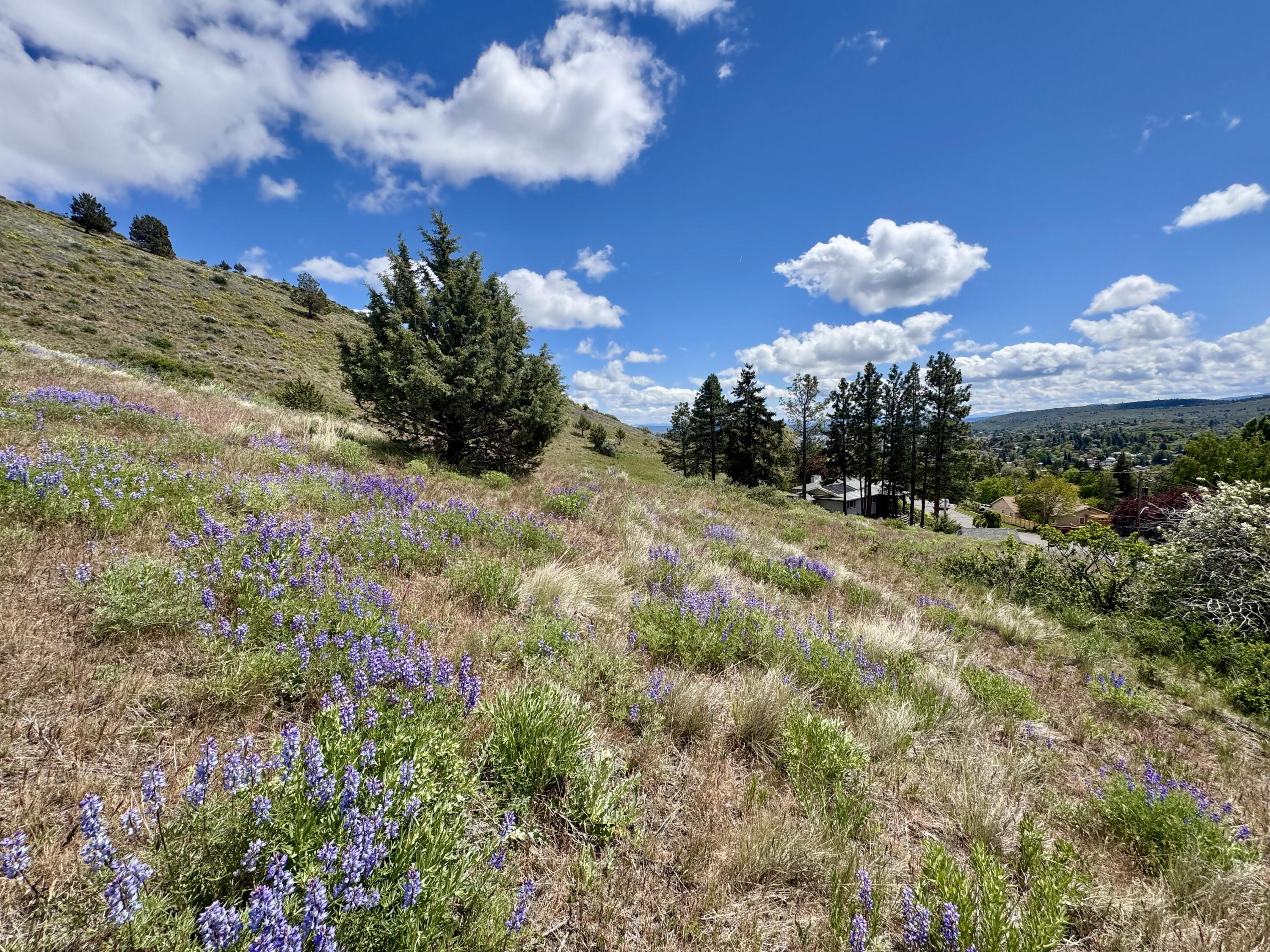 Klamath Falls -Mountain View Addition - Land