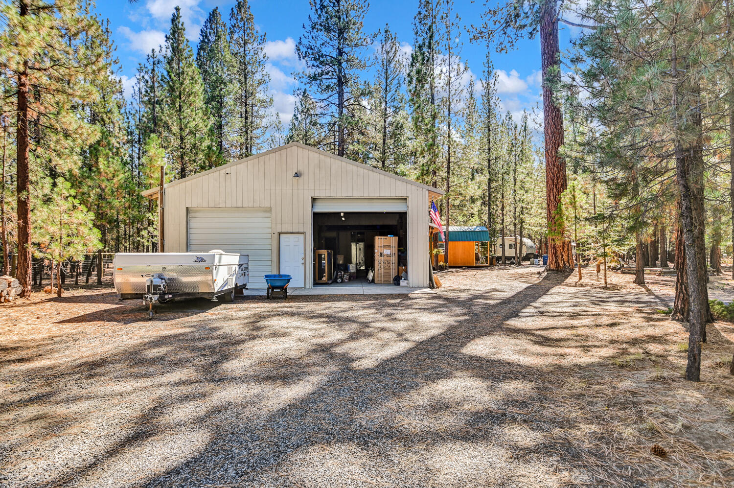 Ponderosa Pines - Land