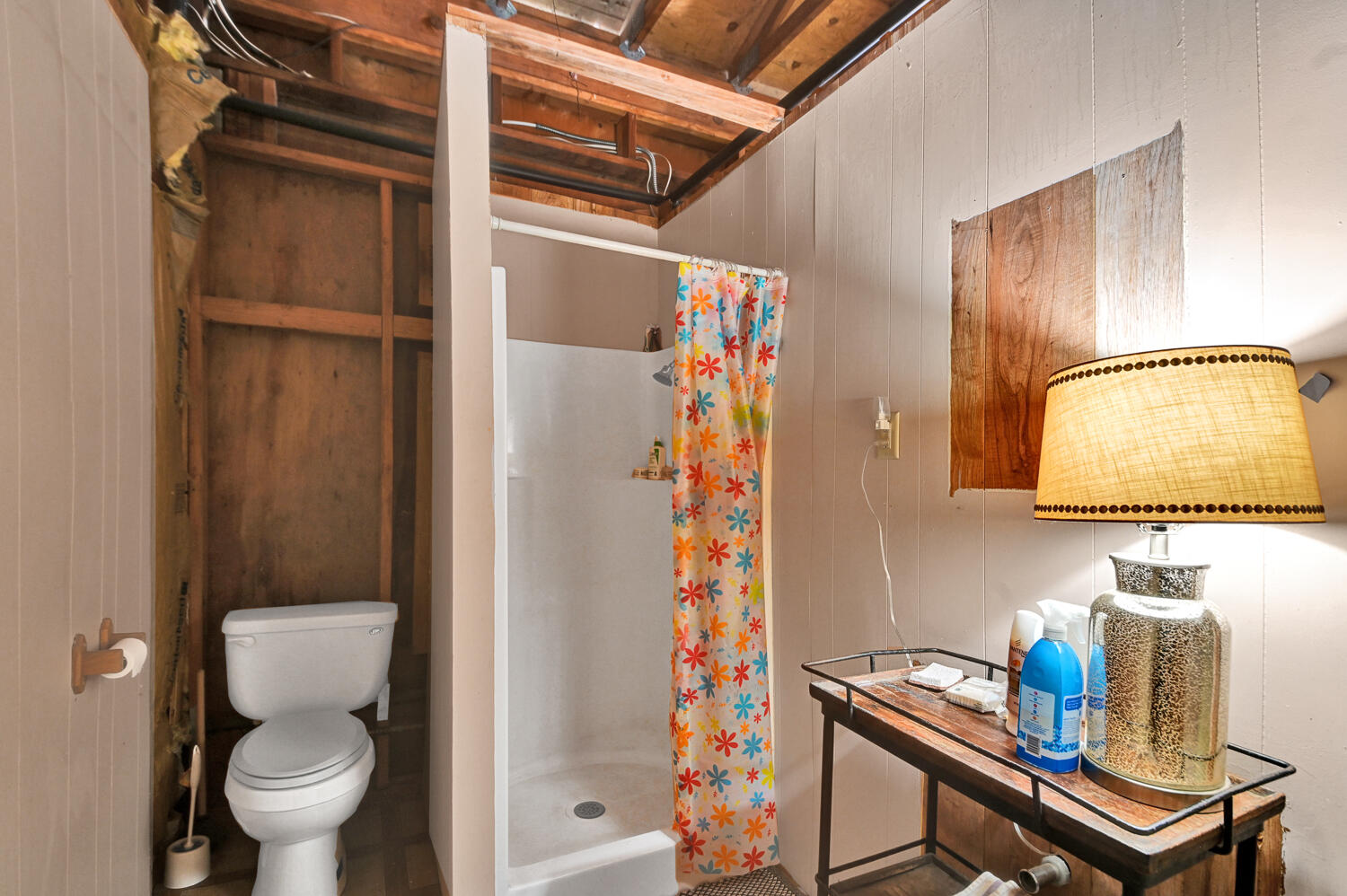 Ponderosa Pines - Land