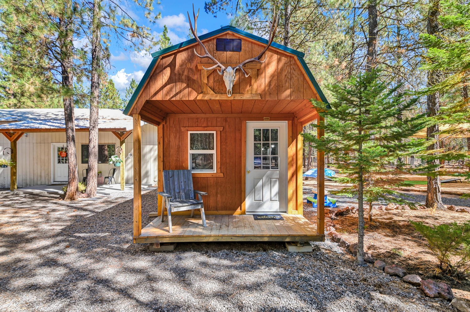 Ponderosa Pines - Land