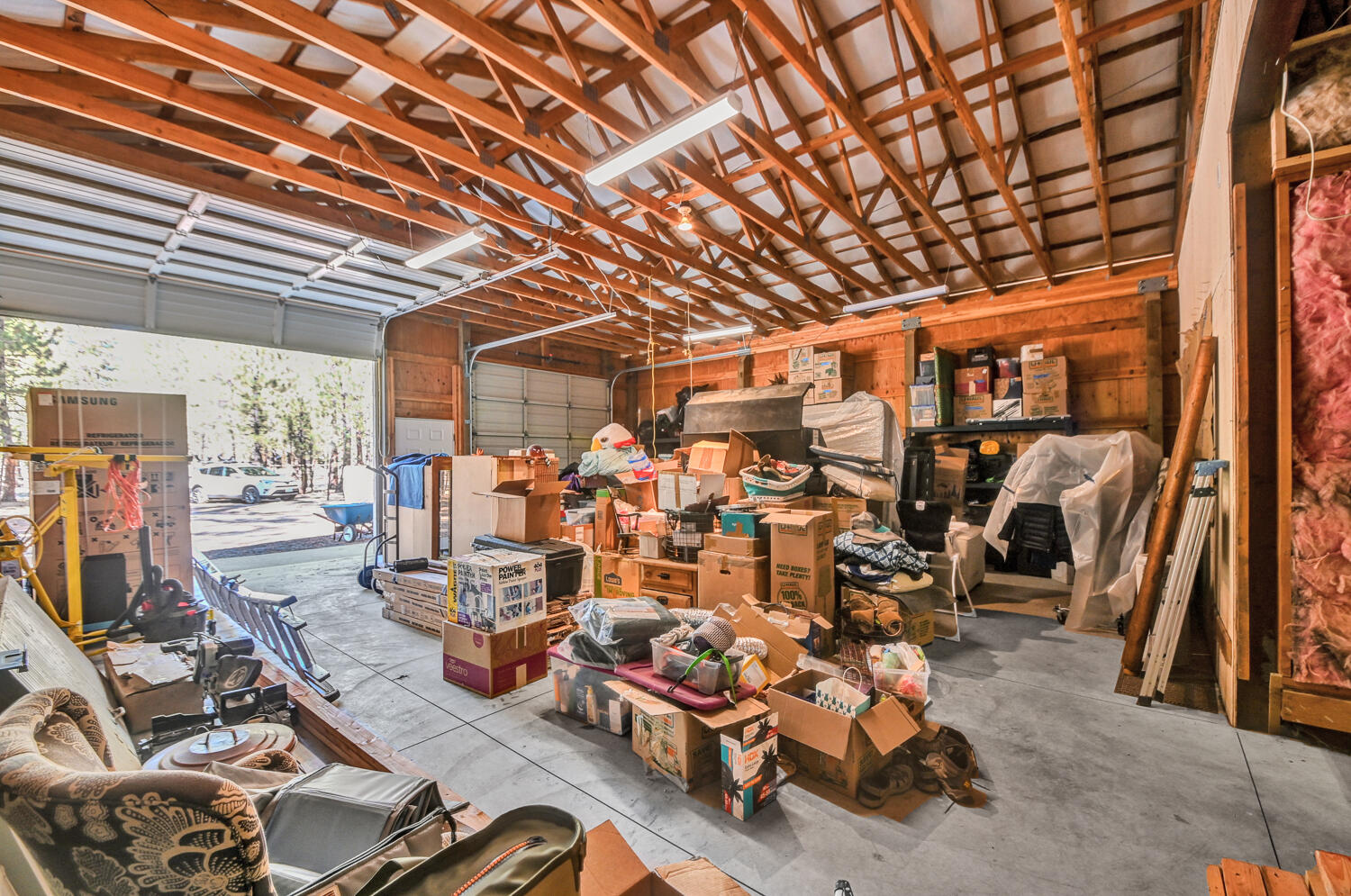 Ponderosa Pines - Land